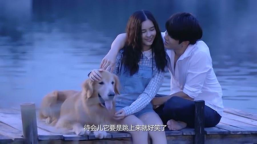 蜂王救援